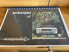 Lamborghini Espada Owners