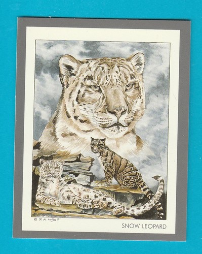 Endangered wild animals - wild,
