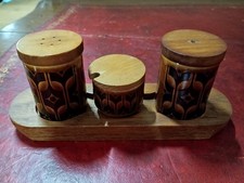 Hornsea Pottery Bronte  Cruet