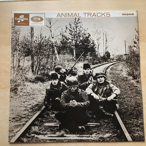 The animals animal tracks - animal,