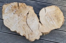 Old Hornbeam Burr burl Cookie Slice approx (mm) D650x250-340x90mm THICK