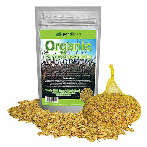 Pond barley straw - pond,