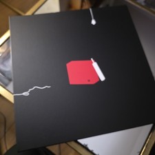 White Stripes Elephant XX