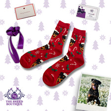 ROTTWEILER CHRISTMAS SOCKS RED FESTIVE DOG GIFT UK 5–11 US 6–12 EU 38–46