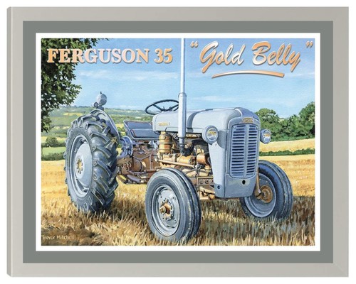 Ferguson fe35 gold belly - ferguson,