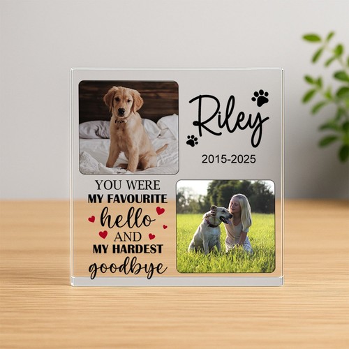Pet dog cat memorial - cat,