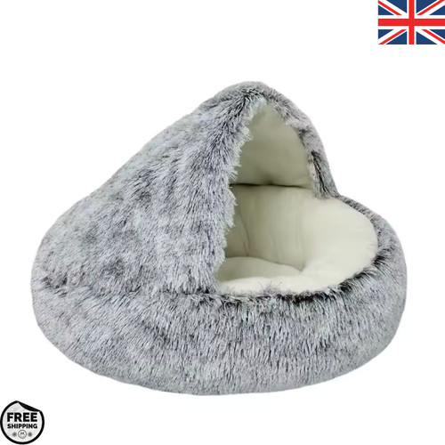 Pet dog cat - pet,
