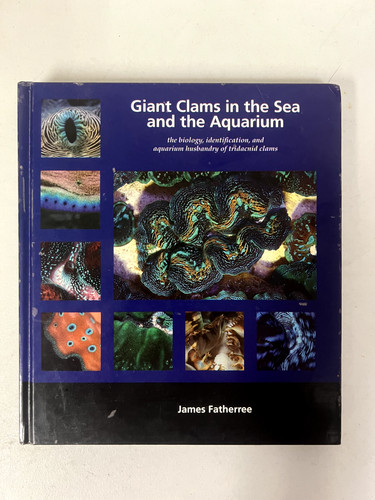 Giant clams the - sea,