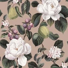 Pyrus Floral Wallpaper in Blossom Botanical Pear Plum Plaster Pink Holden 13890