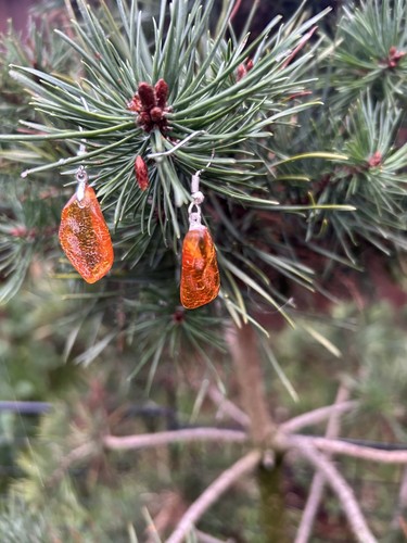 Earrings 100 natural - natural, amber