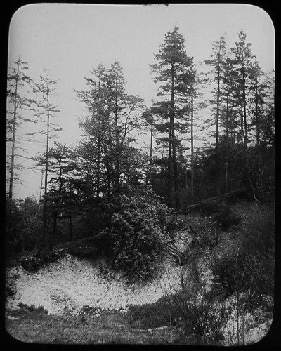 Antique magic lantern slide - magic,