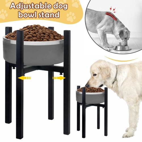 Raised adjustable dog - adjustable,