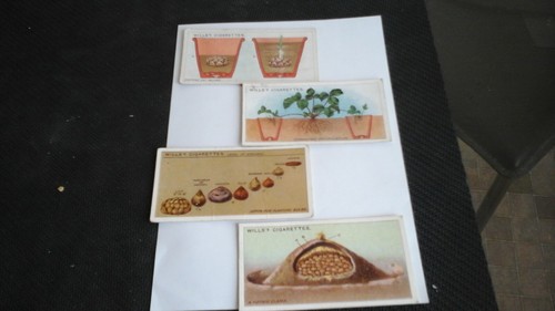 Wills gardening hints 4 - gardening, (4