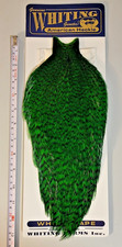 Whiting American Rooster Cape