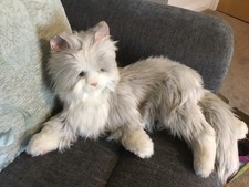 Joy for all robotic cat - all,