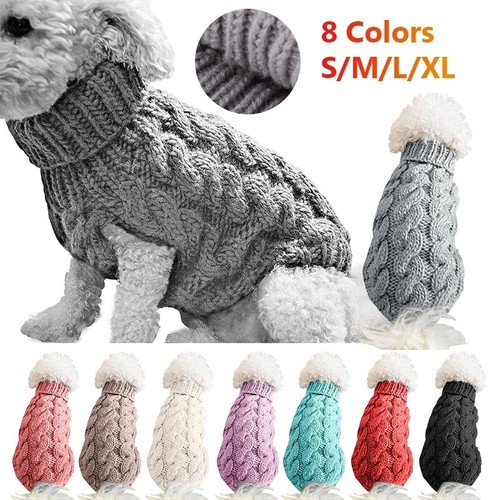 Pet puppy dog cat warm - dog,