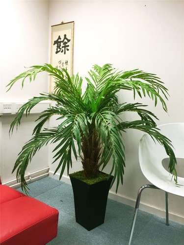 Artificial phoenix palm - phoenix,
