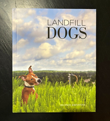 Landfill dogs shannon - landfill,