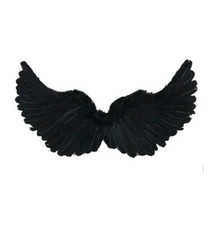 Black Angel Devil Wings Adult Child Fancy Dress Prop Feather Halloween Costume 
