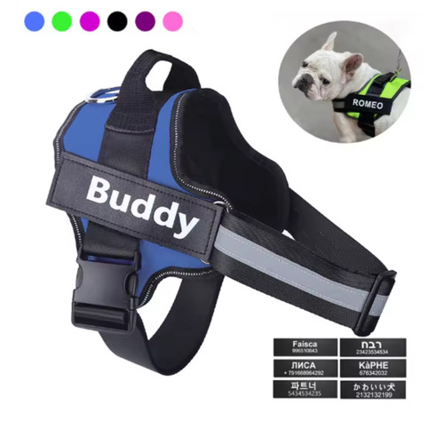 Pull dog pet - pull,