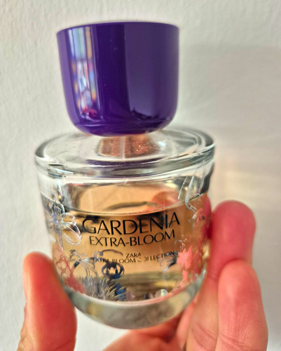 Zara gardenia extra - zara,