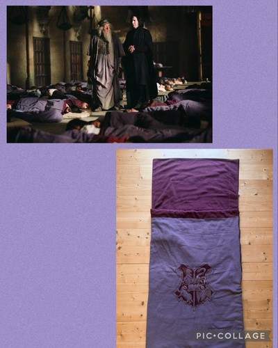 Harry potter sleeping bag - harry,