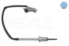 Exhaust Gas Temperature Sensor
