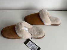 Le chameau mule Maison