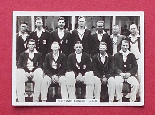 Cricket ardath - ,