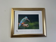 Stephen Gayford "Kingfisher”