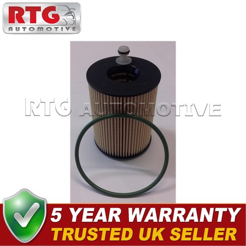 Rtg oil filter fits 407 - rtg,