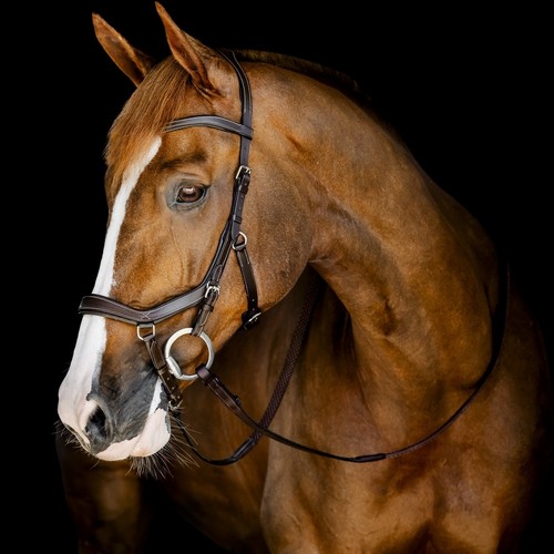 Horseware micklem competition - horseware,