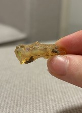 Australian Bolder Opal Rough