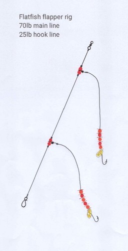 Sea fishing hook flatfish - fishing, 2