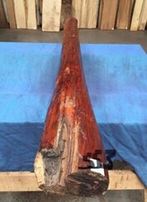 Snakewood Full Log / High