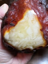 Raw baltic amber - baltic,