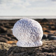 Faux Resin Honeycomb Brain Coral Sculpture