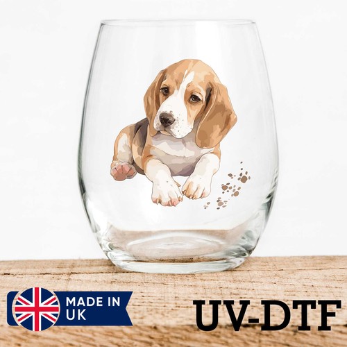 Beagle puppy dog 8pcs - dog, uv