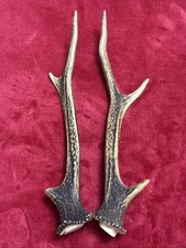 PAIR OF SIKA DEER ANTLERS