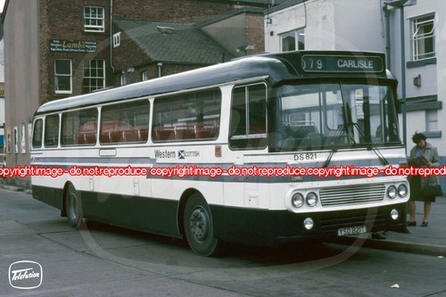Bus photo western - bus,