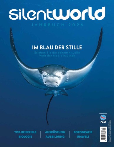 Scuba diving - diving, /