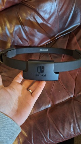 Nintendo switch genuine ring - nintendo,
