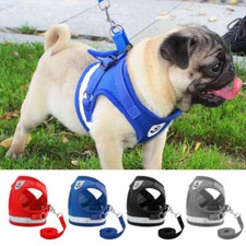Pet Dog Cat Mesh Walking