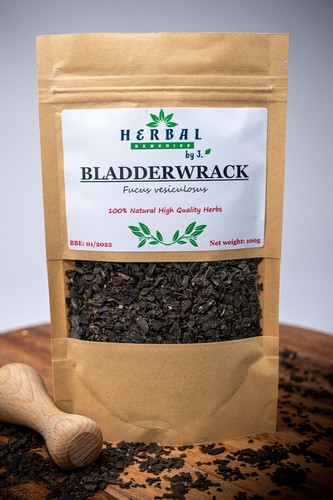 Bladderwrack herb dried algae - bladderwrack,