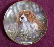 Danbury Mint Sitting Pretty Cavalier King Charles Spaniel Collectable Dog Plate