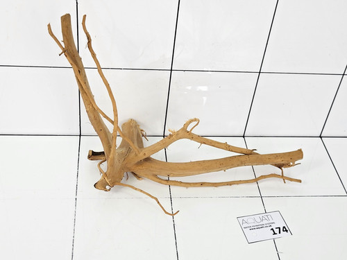 Premium aquarium natural wood - aquarium,