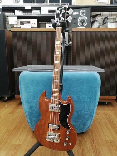 Gibson standard bass 120th - bass,