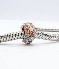 Beautiful Rose Flower