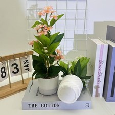 Small Jump Chrysanthemum