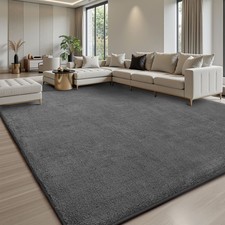 Fluffy Rugs Anti-Slip Large